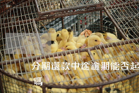 分期還款中途逾期能否起訴(分期還款算逾期嗎)