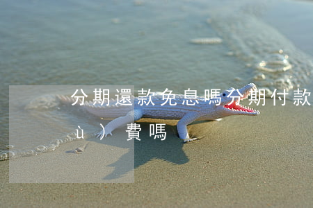 分期還款免息嗎(分期付款免息還要手續(xù)費嗎)