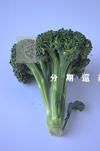 分期還款免息真的嗎(分期免息是什么套路)