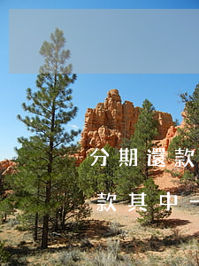 分期還款其中一期逾期上報征信嗎-分期還款其中一期逾期上報征信嗎有影響嗎