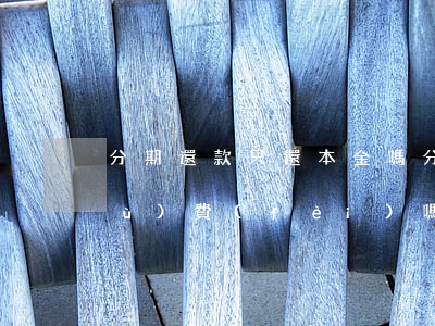 分期還款只還本金嗎(分期還款還要手續(xù)費(fèi)嗎)