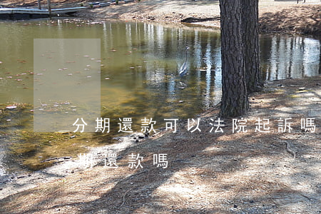 分期還款可以法院起訴嗎(欠款起訴后可以分期還款嗎)
