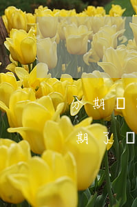 分期還款嚴(yán)重逾期怎么辦(分期逾期了還能貸款嗎)
