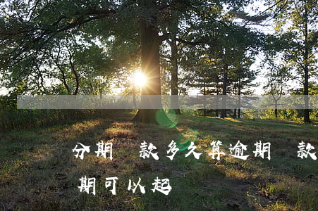 分期還款多久算逾期還款(分期還款逾期多少期可以起訴)