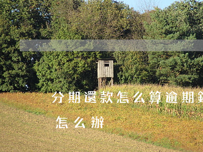 分期還款怎么算逾期(銀行貸款分期還款逾期怎么辦)