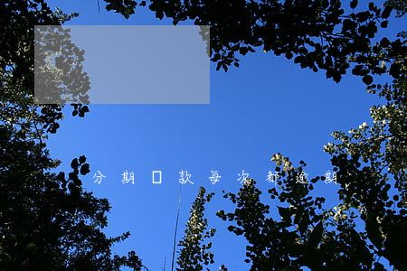 分期還款每次都逾期