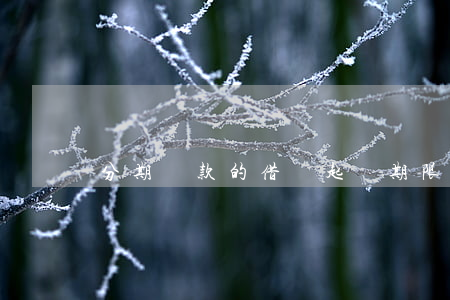 分期還款的借條起訴期限（借條分期逾期起訴嗎）