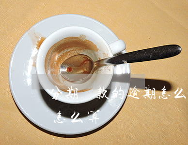 分期還款的逾期怎么算(分期還款的逾期利息怎么算)