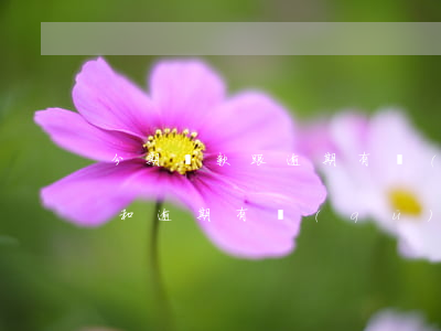 分期還款跟逾期有關(guān)系嗎(分期和逾期有區(qū)別嗎)