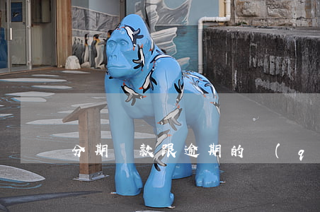 分期還款跟逾期的區(qū)別