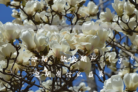 分期還款逾期一個(gè)月后果(分期還款逾期有什么后果)