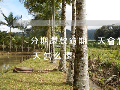 分期還款逾期一天會怎么樣（微信分期逾期一天怎么還）