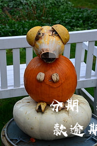 分期還款逾期一期可申請全額起訴-分期還款逾期一期可申請全額起訴嗎