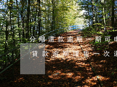 分期還款逾期一期可申請全額起訴(銀行分期貸款逾期讓我一次還全額)