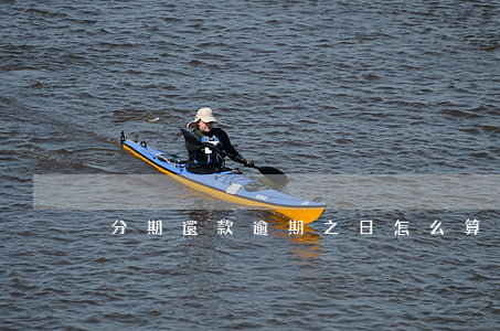 分期還款逾期之日怎么算(分期逾期了怎么算)