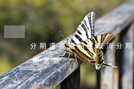 分期還款逾期了取消分期(貸款逾期被取消分期還款)