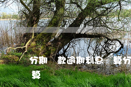 分期還款逾期利息計算(分期逾期罰息怎么計算)