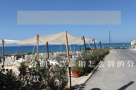 分期還款逾期怎么算的(分期付款逾期怎么還款)