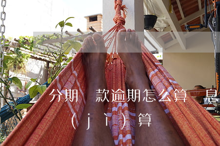 分期還款逾期怎么算罰息(分期付款逾期利息計(jì)算)