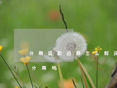 分期還款逾期怎么解決(分期付款逾期過還能分期嗎)