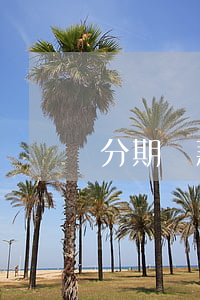 分期還款逾期糾紛
