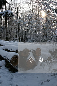 分期還算逾期嗎 分期付款算逾期嗎?