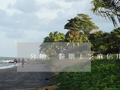 分期還逾期上芝麻信用