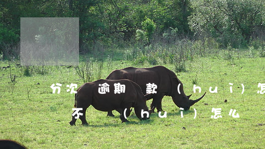分次寶逾期還款會(huì)怎么樣-分次寶不還會(huì)怎么樣
