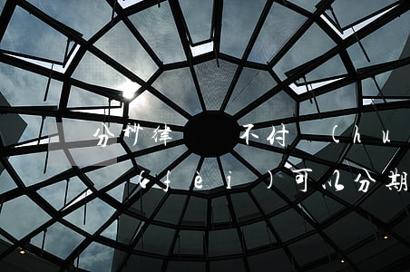 分秒律師錢不付會(huì)要利息嗎(律師費(fèi)可以分期嗎)