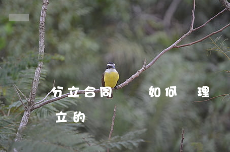 分立合同糾紛如何處理(當事人訂立合同后分立的)