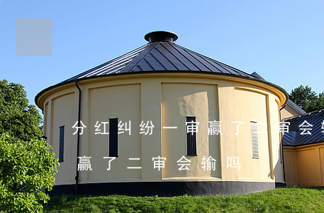 分红纠纷一审赢了二审会输吗(民事纠纷一审赢了二审会输吗?)
