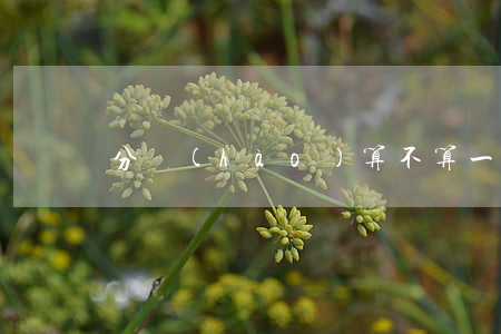 分號(hào)算不算一句話