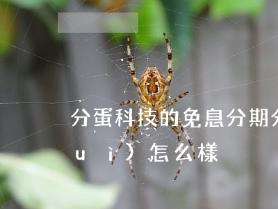 分蛋科技的免息分期(分蛋科技不還款會(huì)怎么樣)