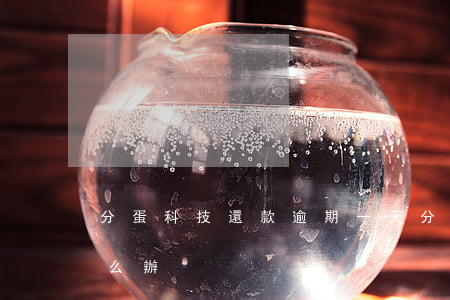 分蛋科技還款逾期一天(分蛋科技忘記還款怎么辦)