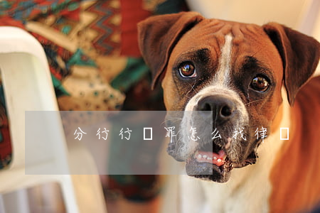 分行行賄罪怎么找律師