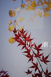 切記，朋友間，六種忙不能幫！