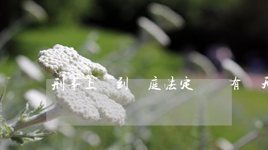 刑事上訴到開庭法定時間有幾天