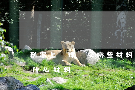 刑事上訴律師交哪些材料(刑事案件上訴需要什么材料)