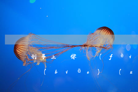 刑事上訴律師費(fèi)收費(fèi)標(biāo)準(zhǔn)(上訴的律師費(fèi)用標(biāo)準(zhǔn))