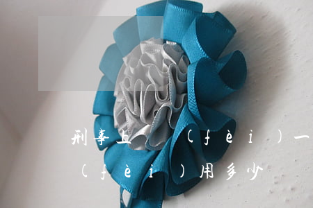 刑事上訴費(fèi)一般多少(一般上訴費(fèi)用多少)