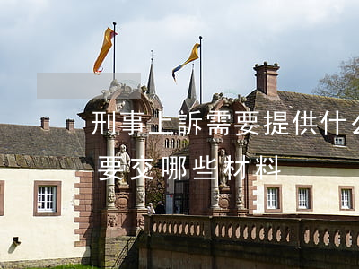 刑事上訴需要提供什么材料(民事案件上訴需要交哪些材料)