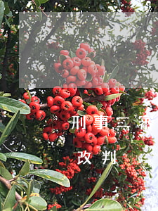 刑事二審法官改判的前兆(刑事二審開庭意味改判)