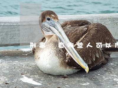 刑事偵查哪些人可以作辨認人