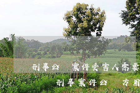 刑事公訴案件受害人需要請(qǐng)律師嗎(刑事案件公訴方用不用請(qǐng)律師)