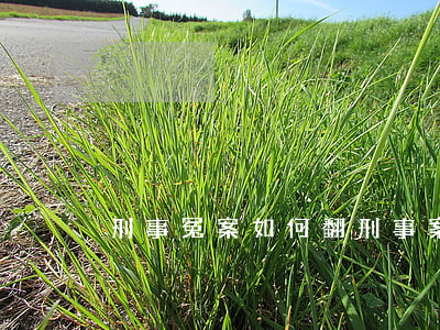 刑事冤案如何翻(刑事案件怎樣翻案)