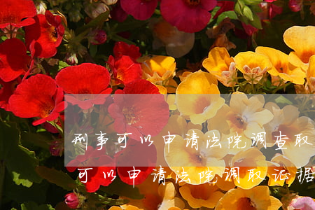刑事可以申请法院调查取证吗(刑事自诉案件可以申请法院调取证据吗)