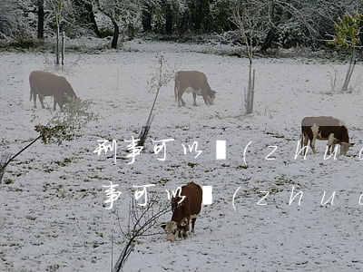 刑事可以轉(zhuǎn)成民事糾紛嗎(刑事可以轉(zhuǎn)成民事糾紛嗎)