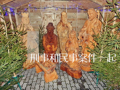 刑事和民事案件一起訴訟
