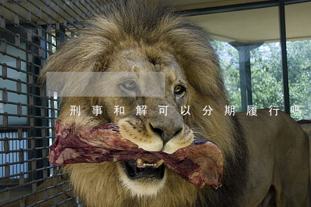 刑事和解可以分期履行嗎