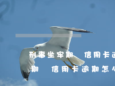 刑事坐牢期間信用卡逾期怎么辦-刑事坐牢期間信用卡逾期怎么辦理